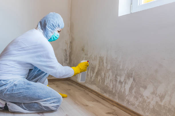 Licensed Mold Cleanup service in Levittown, PA - WQB Mold Removal