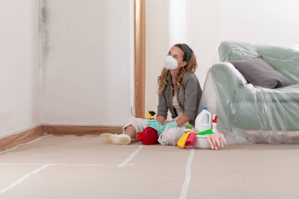 Reliable Mold Cleanup contractor in Levittown, PA by WQB Mold Removal